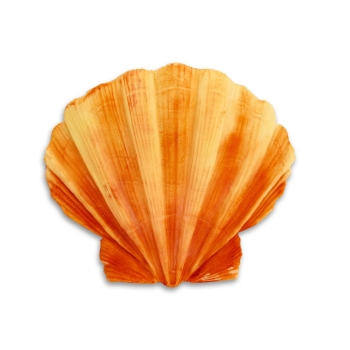 Silicone Mould - Clam Shell